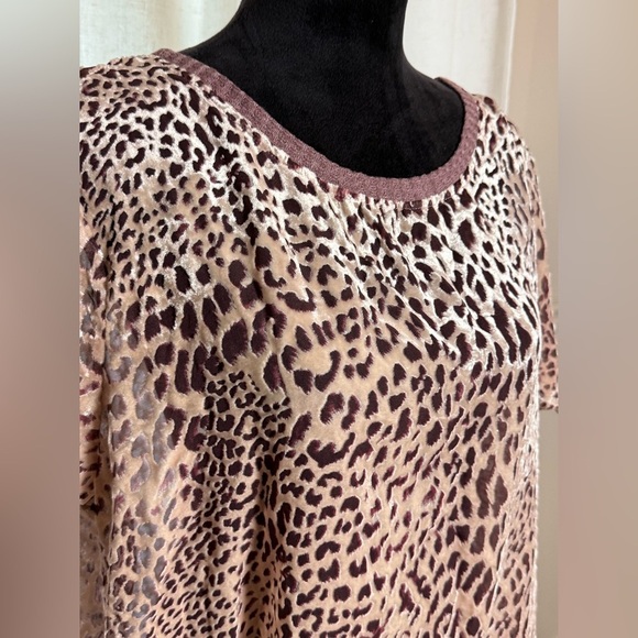 Kori Leopard Print Velvet Burnout Sheer Top Size L NWT - Picture 2 of 6